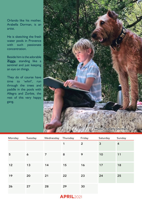 2021 Calendar - We Love Irish Terriers