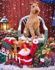 Picture of the Month