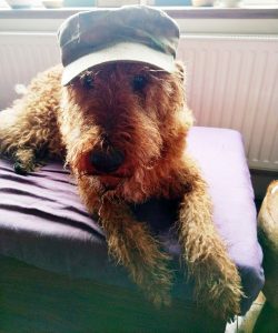 Picture of the Month